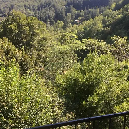 La Coconniere De * Valleraugue