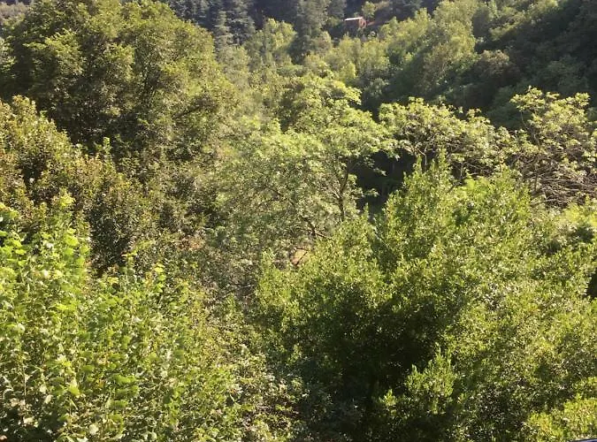 La Coconniere De * Valleraugue